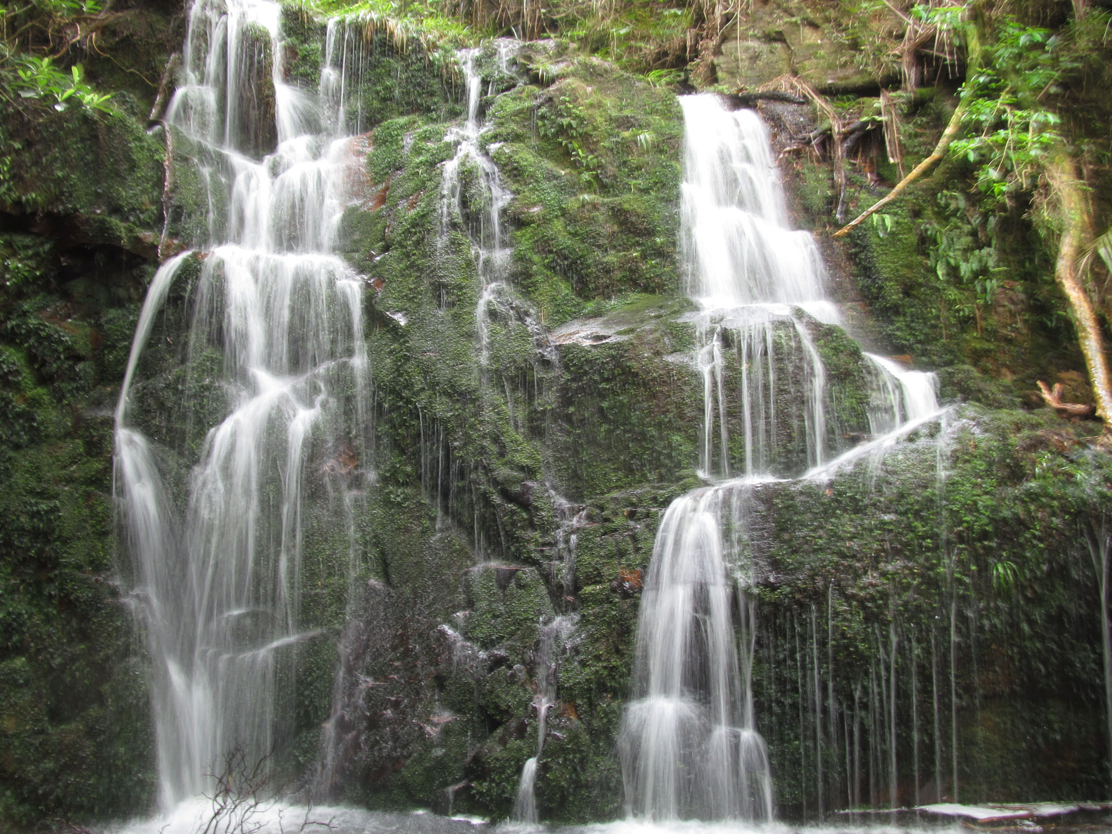 Waterfall beside trap line R2, Puketi plateau. Photo by Asher Wallace
